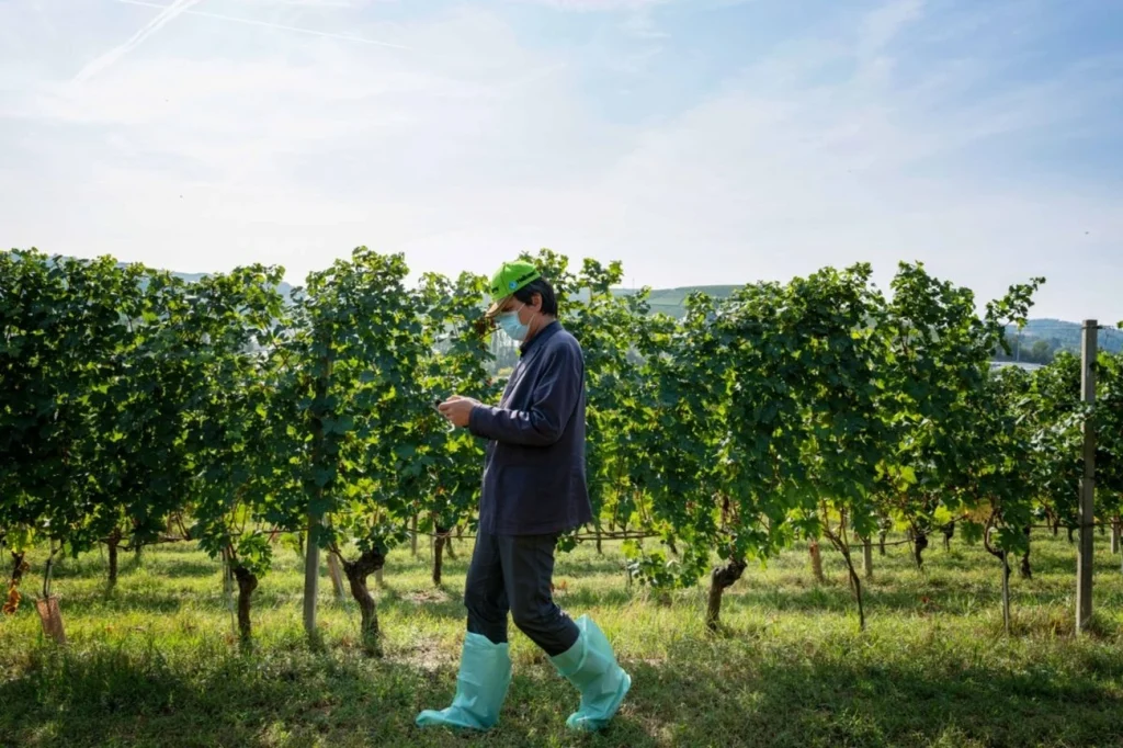 Syngenta avalia abrir capital em Hong Kong após desistir de listagem em Xangai