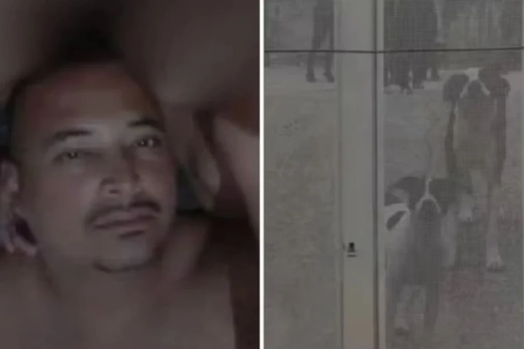 Ambulante morre após ser atacado por 10 cães dentro de chácara Ambulante morre após ser atacado por 10 cães dentro de chácara