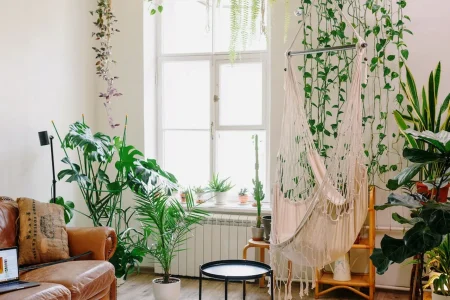 10 esp cies de plantas que ficam incr veis dentro de casa 89f0b902