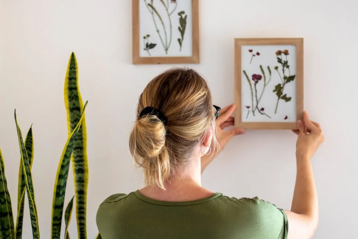 Como decorar um apartamento alugado: Dicas detalhadas para transformar o ambiente