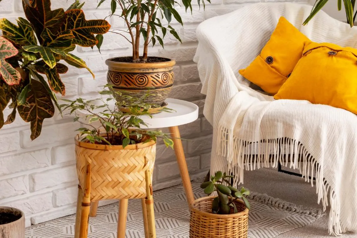 Como usar materiais naturais na decoração: transforme seu ambiente!