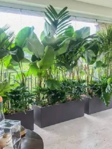 Plantas para Varanda: Conheça as Espécies Dicas de Decoração