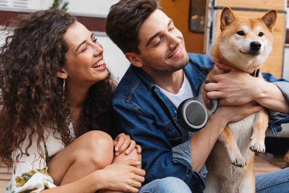 Produtos para pet: Saiba o que não pode faltar em casa produtos para pet saiba o que n o pode faltar em casa 506fa676