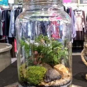 Como fazer seu Terrário Fechado:Como usar ele na decoração