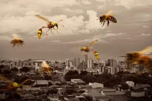 Ataques de abelhas disparam no DF; na Asa Sul, 3 pessoas ficam feridas