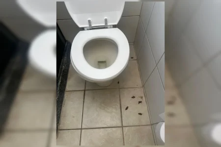 Brasiliense se desespera com “invasão de baratas” em resort de luxo