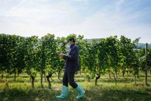 Syngenta avalia abrir capital em Hong Kong após desistir de listagem em Xangai