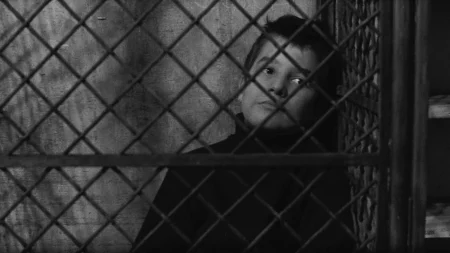 CineSesc apresenta a Mostra Truffaut Por Completo, com 21 longas do cineasta francês