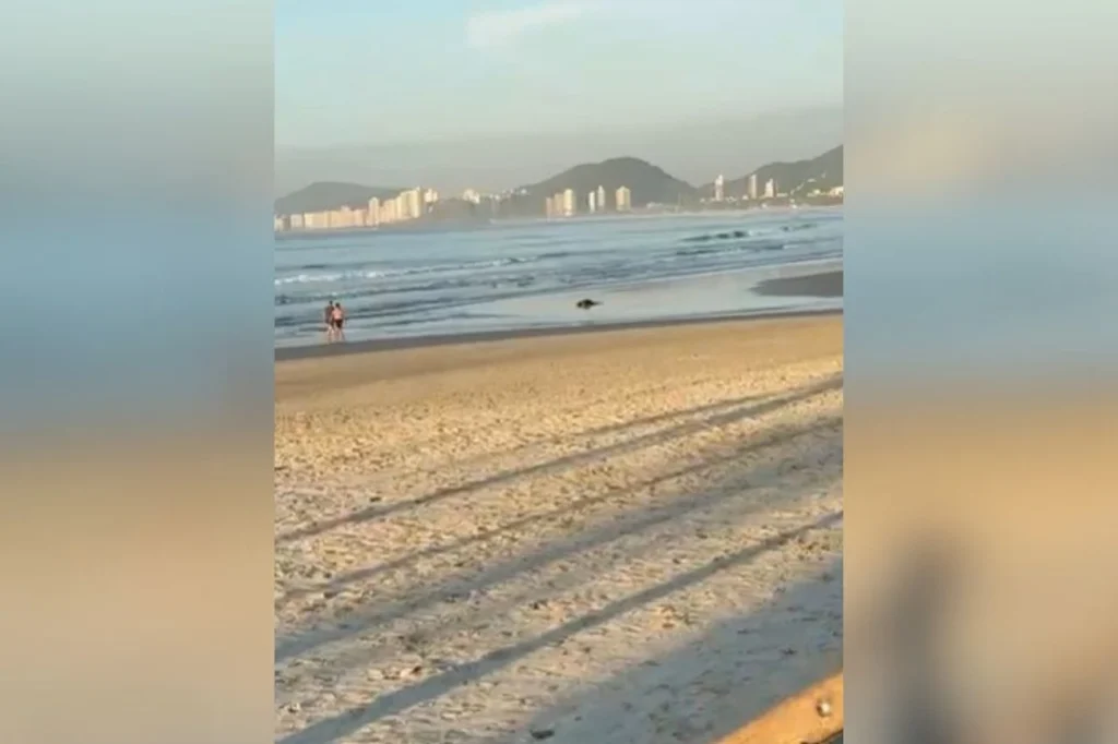 Militar roubado em praia buscou arma em casa e matou suspeito na orla Militar roubado em praia buscou arma em casa e matou suspeito na orla