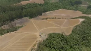 Luciano Huck colhe frutos de sua fazenda agora com 35 campos de futebol de abacate Luciano Huck colhe frutos de sua fazenda agora com 35 campos de futebol de abacate