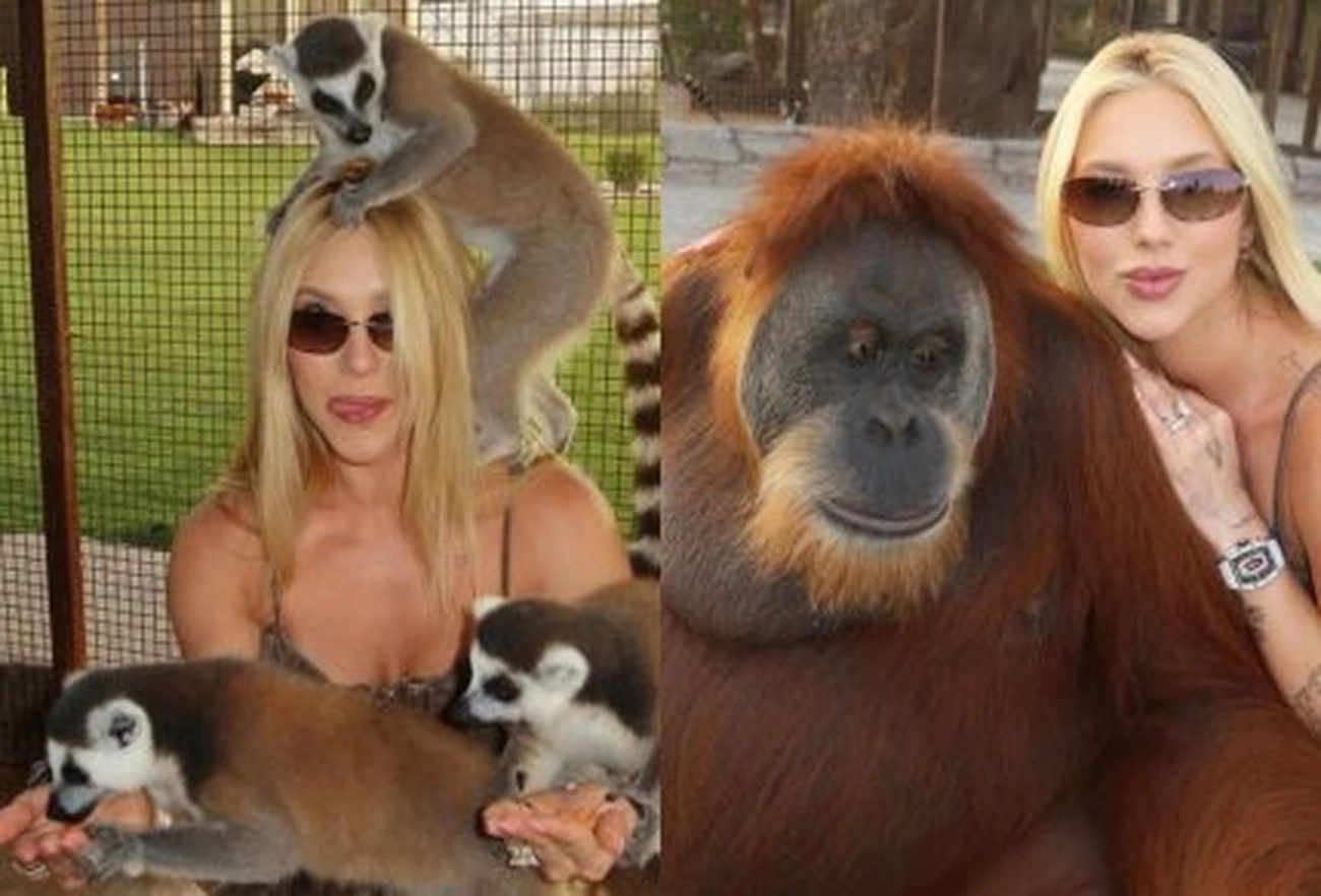 Virginia Fonseca repudia comentários racistas após vídeo polêmico com macaco em Dubai