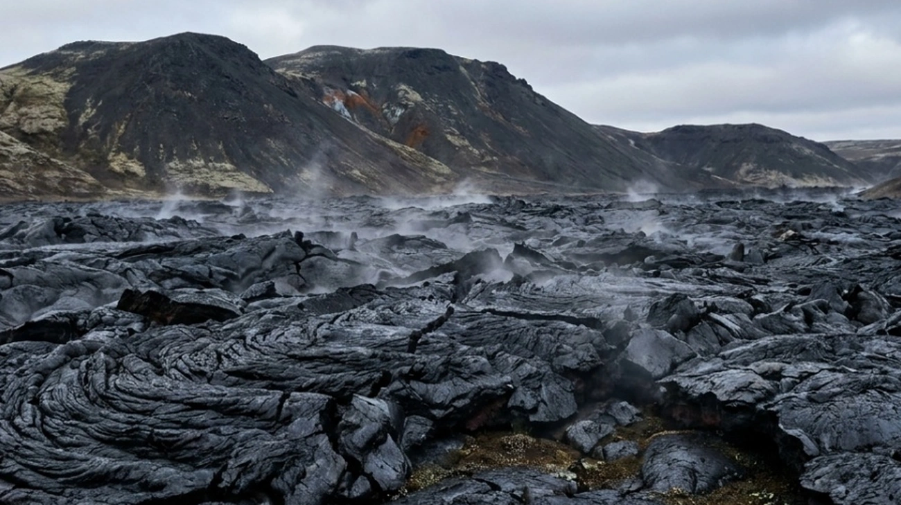 Em poucas horas, vida surge em lava recém-solidificada do vulcão Fagradalsfjall da Islândia