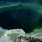 Descubra agora a Jacuzzi do Desespero, lago submarino que mumifica criaturas marinhas em silêncio no Golfo do México