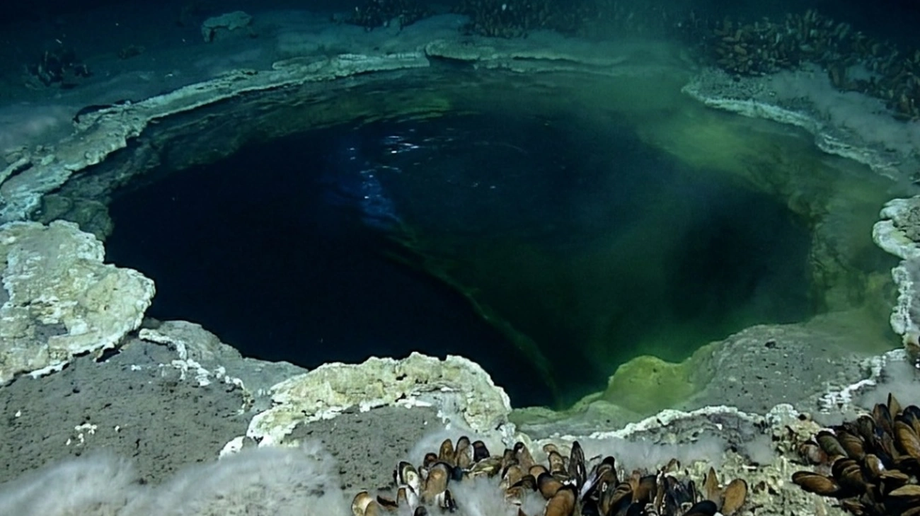 Descubra agora a Jacuzzi do Desespero, lago submarino que mumifica criaturas marinhas em silêncio no Golfo do México